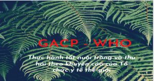 Lợi ích của việc áp dụng tiêu chuẩn GACP
